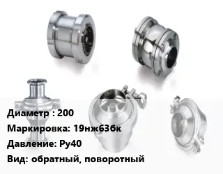 Клапан нержавеющий 200 19нж63бк Ру40 обратный, поворотный